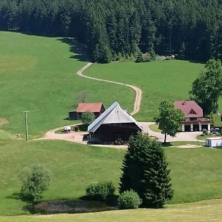 Oberengenbachhof Apartment Eisenbach  Luaran gambar