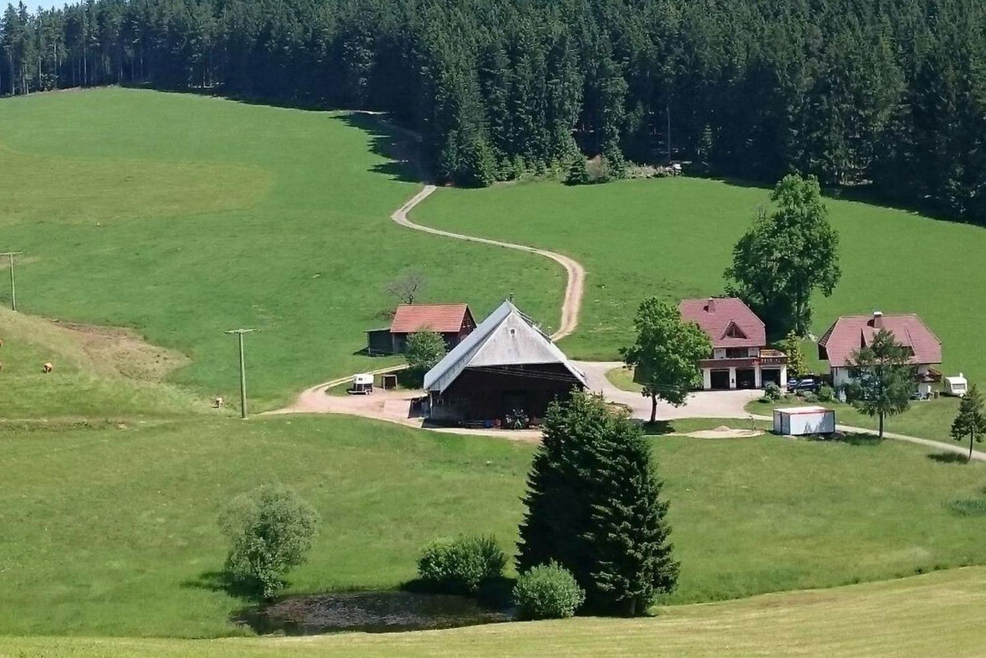 Oberengenbachhof Apartment Eisenbach  Luaran gambar